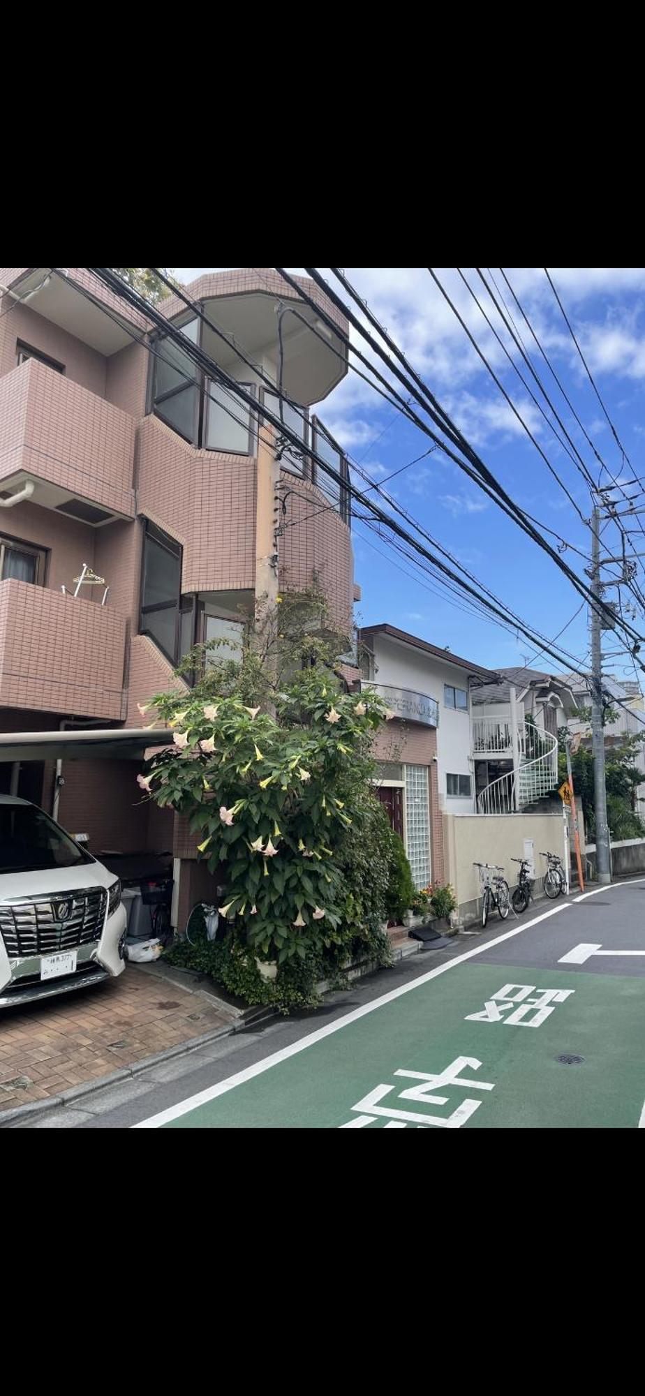 新宿安靜の家-A Quiet Home In Shinjuku - A 26 Square Meter Double Bed Room That Feels Like Home Токио Екстериор снимка